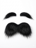 Fake Eyebrows and Mustache