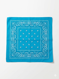 Blue Paisley Bandana