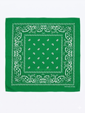 Green paisley bandana