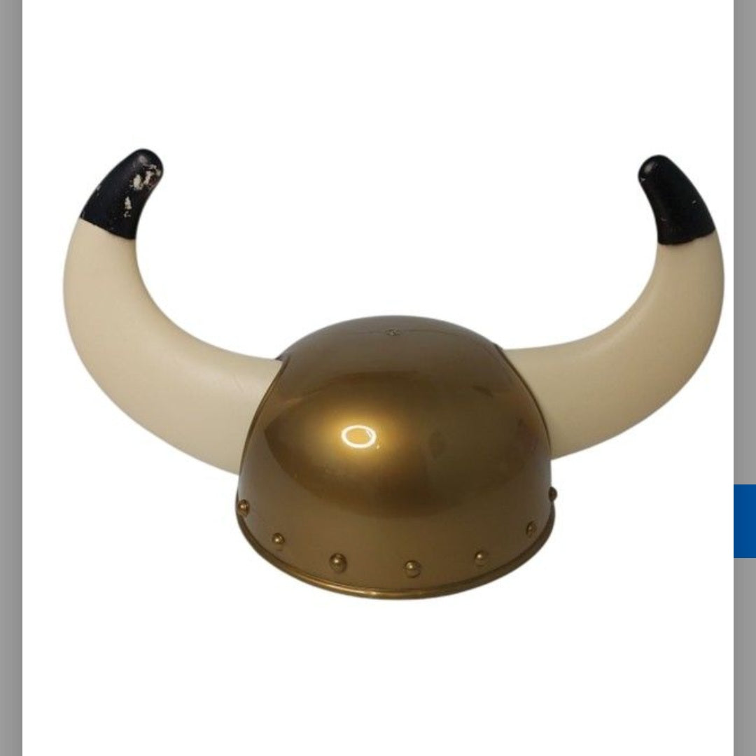 Viking helmet