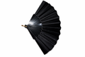 Chinese fan