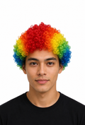 Rainbow Afro Wig